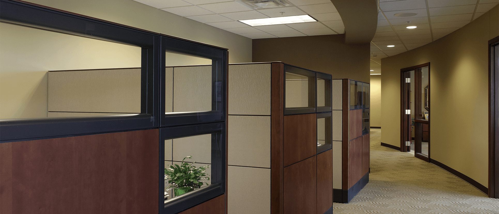 Commercial Construction